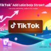 TikTok Ads Cost